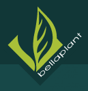 bellaplantag